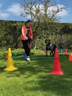 veerkrachtmetjehond veerkrachtmetjehond